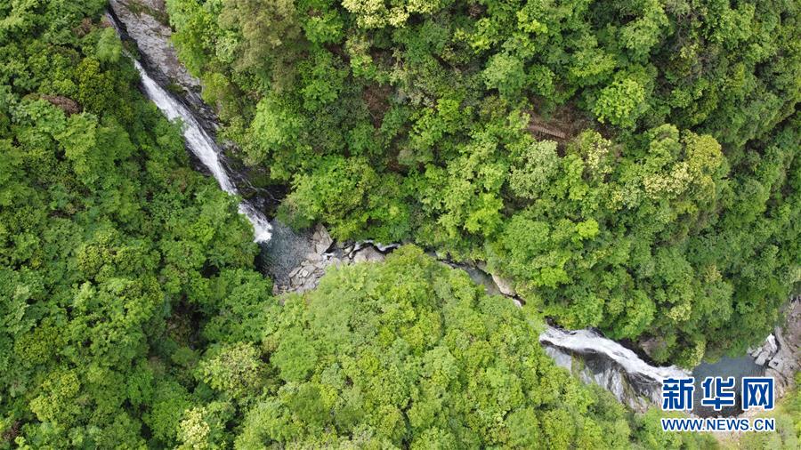 (在習(xí)近平新時(shí)代中國特色社會主義思想指引下——新時(shí)代新作為新篇章·習(xí)近平總書記關(guān)切事·圖文互動)(6)長三角的新答卷——“十三五”收官之年的長三角一體化新故事
