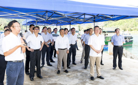 2019年6月21日上午，省長沈曉明率省政府班子成員在三亞鐵爐港調(diào)研項目規(guī)劃建設(shè)情況。海南日報記者 宋國強 攝