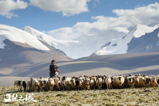 治愈你的不止曠野，更是真實的生活
