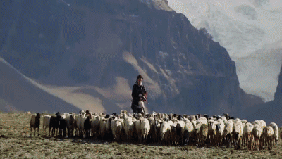 你看了嗎？藏語(yǔ)版《日光之城》“含金量”還在上升！