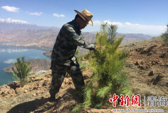 圖為尖扎干部職工生態(tài)建設(shè)和環(huán)境保護(hù)現(xiàn)場(chǎng)。尖宣 供圖