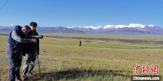 圖為工作人員正在進(jìn)行黑頸鶴衛(wèi)星跟蹤和環(huán)志工作。　祁連山國(guó)家公園青海省管理局供圖 攝