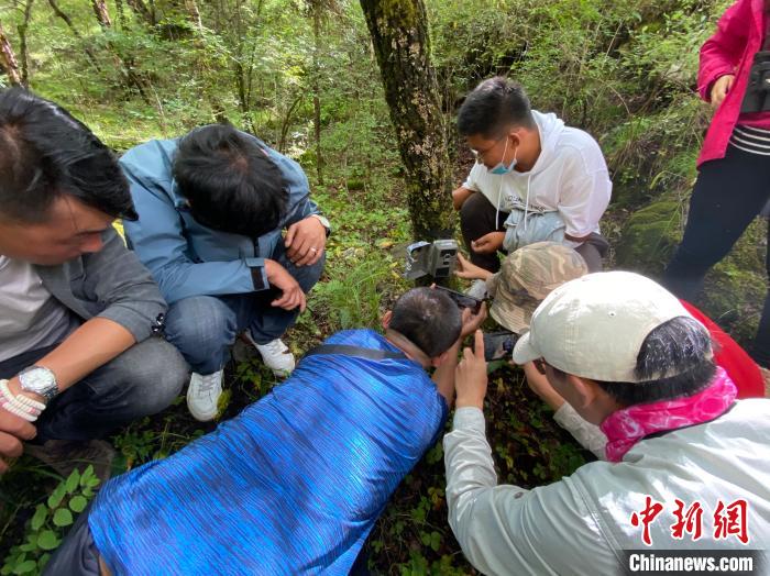 圖為訪客正在查看紅外相機中的拍攝畫面?！±罱瓕?攝