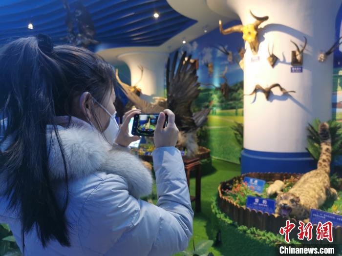 探訪(fǎng)青海野生動(dòng)物保護(hù)宣傳普法教育基地