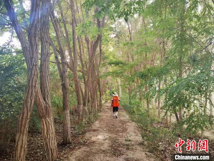 戈壁灘上的護(hù)林員：以前風(fēng)吹睜不開(kāi)眼，現(xiàn)在滿眼皆綠色