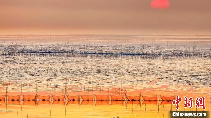 江蘇鹽城被譽(yù)為金灘銀蕩、魚米之鄉(xiāng)?！←}城市委宣傳部供圖