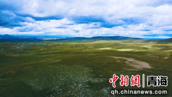 圖為長江南源沼澤濕地。李江寧攝