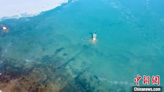 圖為冬日青海湖。　李江寧　攝