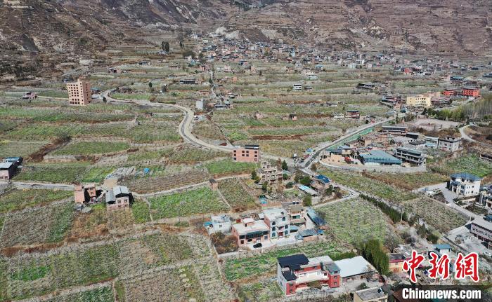 潔白的李花與村寨交相輝映，勾勒出一幅美麗的和諧生態(tài)畫卷?！『吻搴?攝