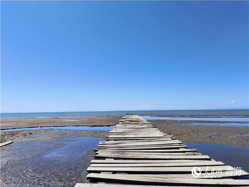   青海湖仙女灣。人民網(wǎng) 張莉萍攝