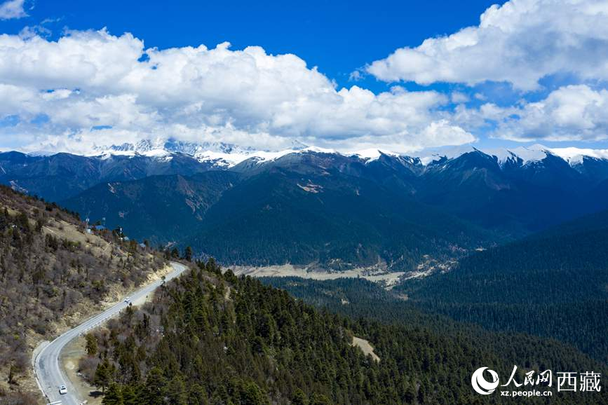 圖為在海拔4700多米的色季拉山，觀測從森林到草甸的多種植被類型。
