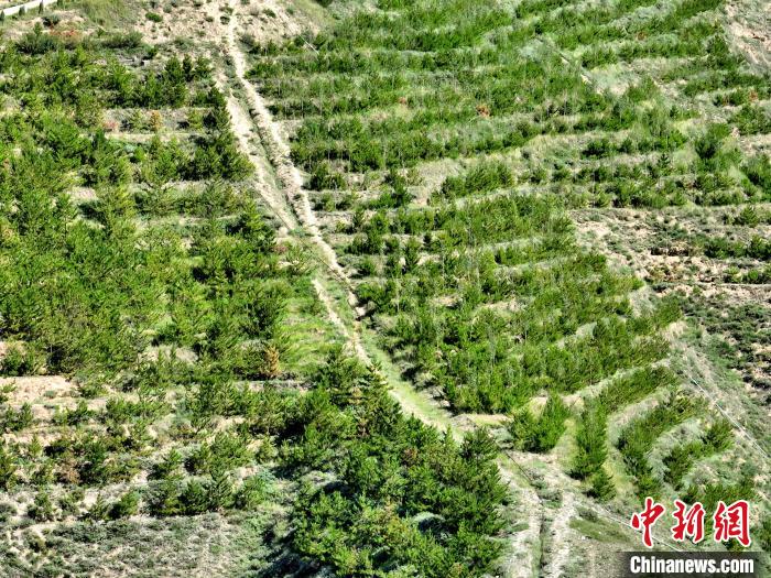 航拍建行青海省分行綠化區(qū)?！∑钤鲚?攝