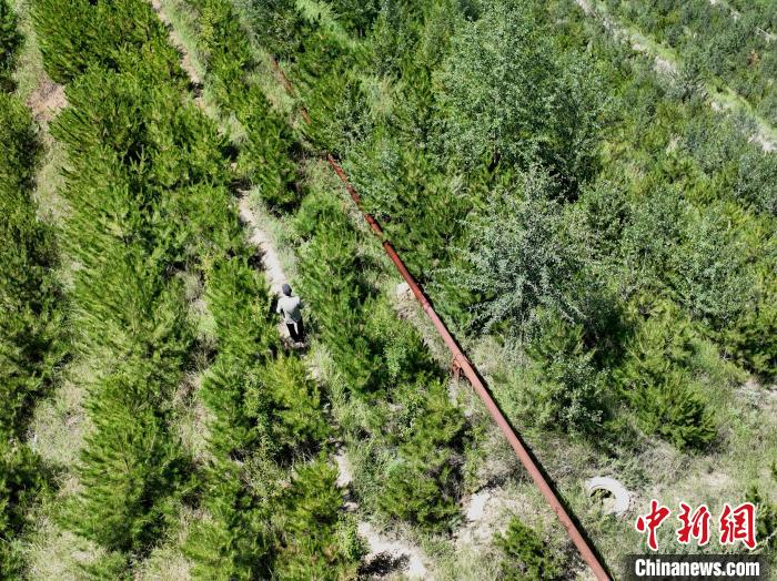 航拍建行青海省分行綠化區(qū)施工隊(duì)隊(duì)長(zhǎng)盧占祥正在巡護(hù)綠化區(qū)?！∑钤鲚?攝