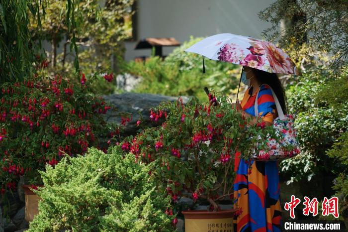 圖為市民在西寧園林植物園內(nèi)賞花拍照?！●R銘言 攝