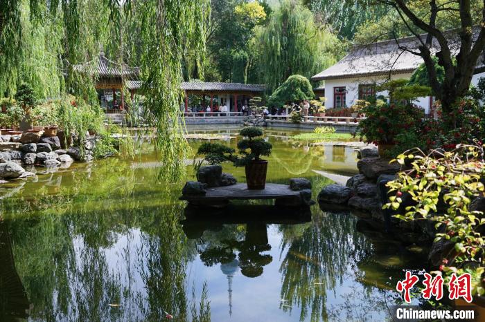 圖為西寧園林植物園秋日風(fēng)景別有韻味?！●R銘言 攝