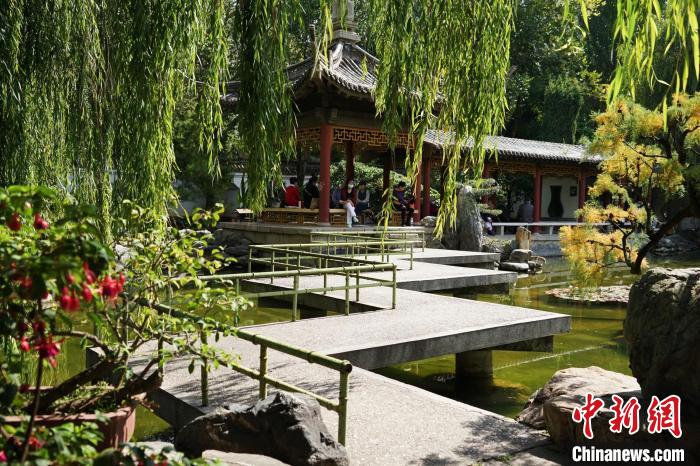 圖為西寧園林植物園秋日風(fēng)景別有韻味?！●R銘言 攝