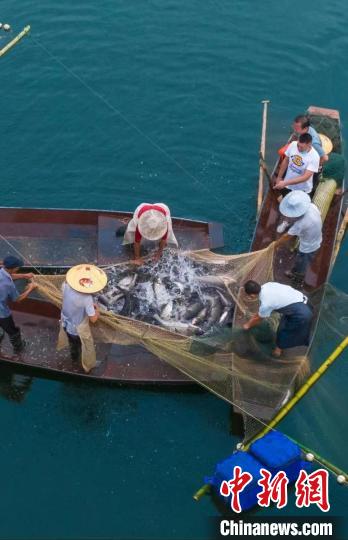 捕魚現(xiàn)場(chǎng)?！≈鬓k方供圖