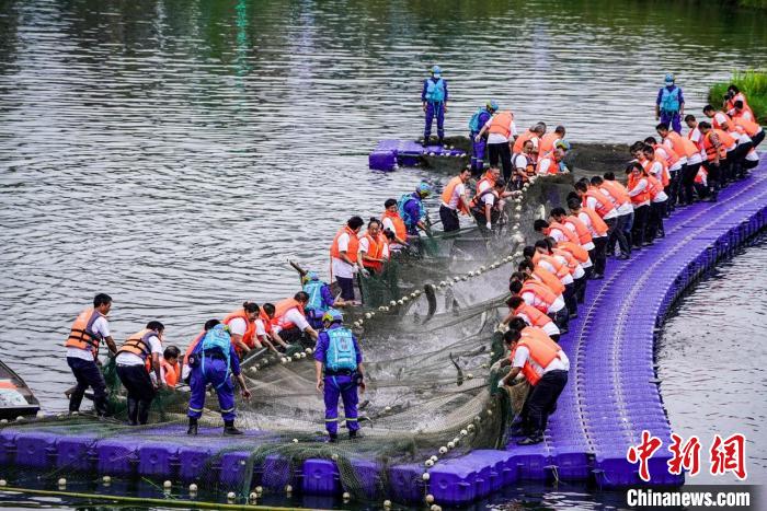 捕撈現(xiàn)場(chǎng)。　主辦方供圖