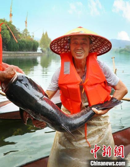 工作人員展示捕撈成果?！≈鬓k方供圖