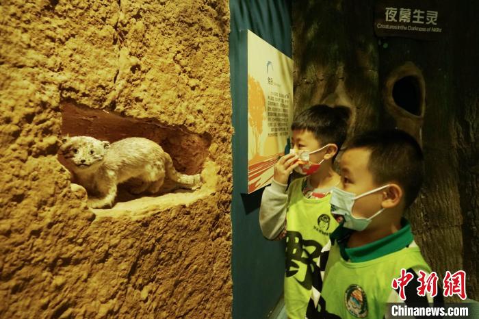 圖為小朋友在青海西寧湟水國(guó)家濕地公園科普館內(nèi)參觀學(xué)習(xí)。　馬銘言 攝