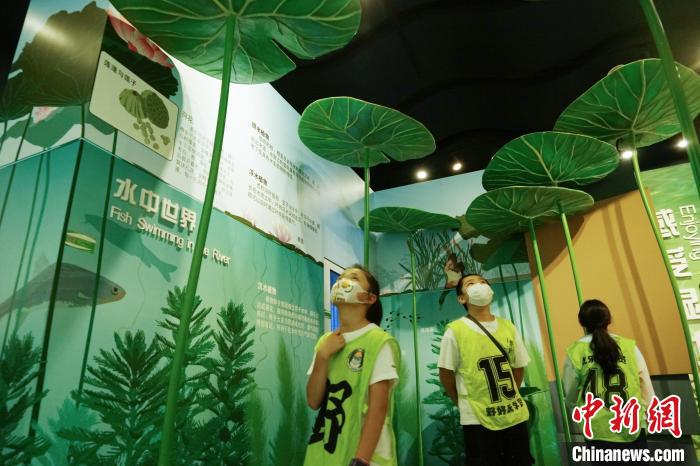 圖為小朋友在青海西寧湟水國(guó)家濕地公園科普館內(nèi)參觀學(xué)習(xí)?！●R銘言 攝