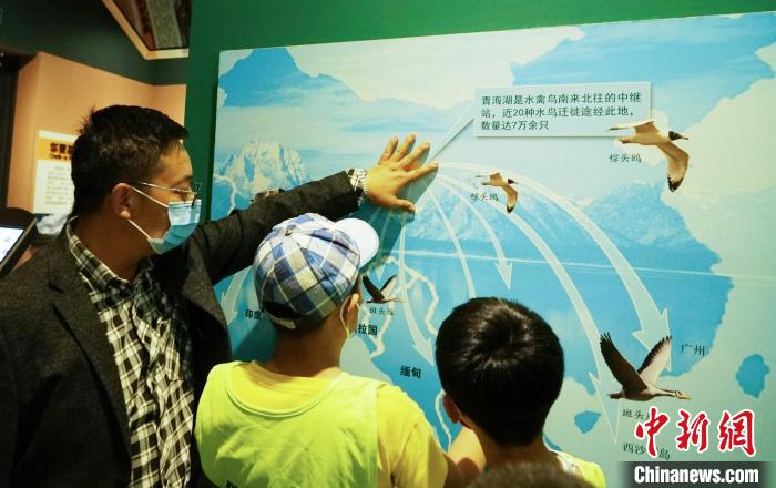 圖為小朋友在青海西寧湟水國(guó)家濕地公園科普館內(nèi)參觀學(xué)習(xí)。　馬銘言 攝