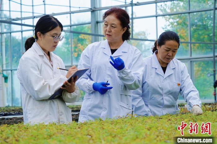 圖為張錦梅(中)與同事在討論數(shù)據(jù)。馬銘言 攝