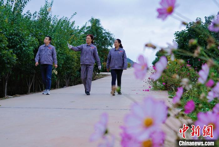 圖為張錦梅(中)與同事在西寧北山查看丁香樹?！●R銘言 攝