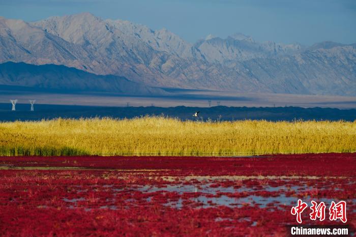 圖為柴達(dá)木盆地可魯克湖?！」?攝