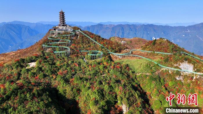 巴山大峽谷彩林迎來(lái)最佳觀賞期?！∫κ?攝