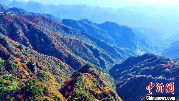 巴山大峽谷彩林迎來(lái)最佳觀賞期?！埰?攝