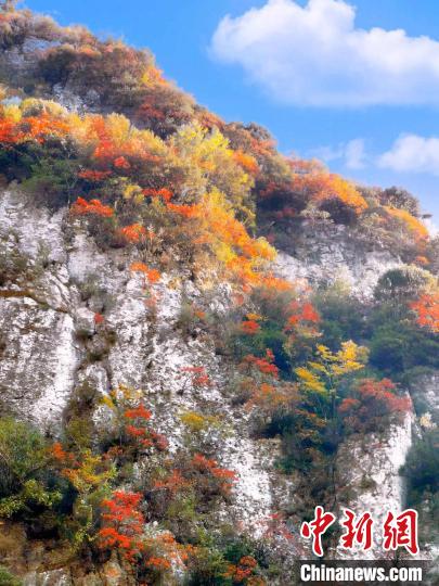 彩林色彩斑斕?！≈炱桨?攝