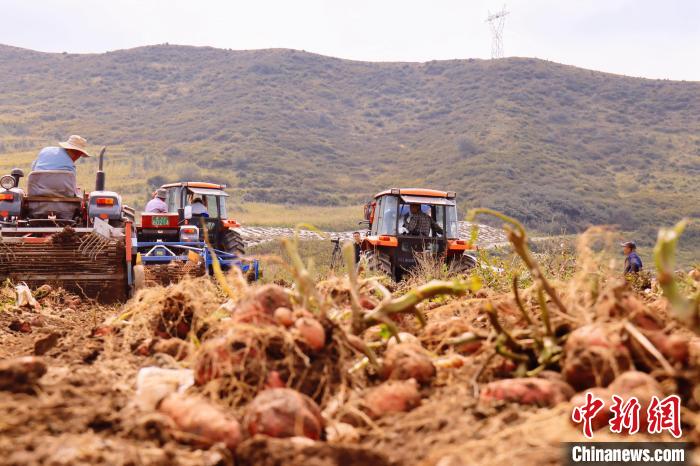 青海東部農(nóng)業(yè)區(qū)：“一分川、一分水、八分山”里“刨金記”