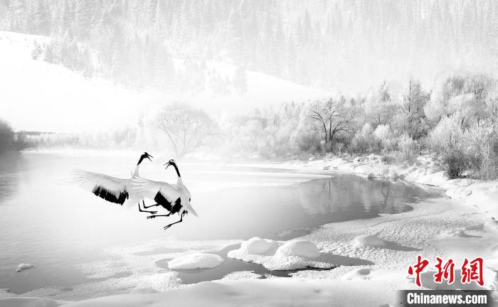 圖為焦生福的作品《鶴嬉雪林》?！∏嗪Ｊ∑钸B山自然保護(hù)協(xié)會(huì)供圖