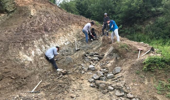 2018年玉海翼角魚野外發(fā)掘采集現(xiàn)場?！∩w志琨 攝