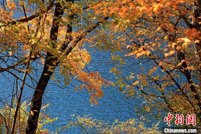 松坪溝風(fēng)光?！⑼?攝