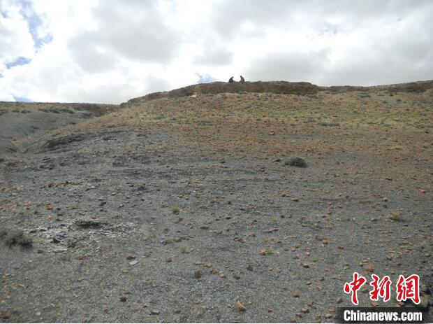 圖為本次研究的藏南曲布剖面二疊紀末期黑色頁巖?！∧瞎潘?供圖