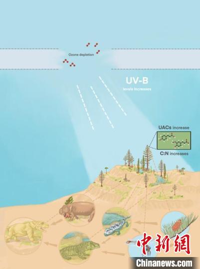 臭氧層破壞引起的紫外線輻射增加對陸地食物鏈的影響?！∧瞎潘?供圖