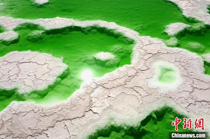 青?！拔鞔箝T”茫崖多舉措蓄能鹽湖產業(yè)發(fā)展