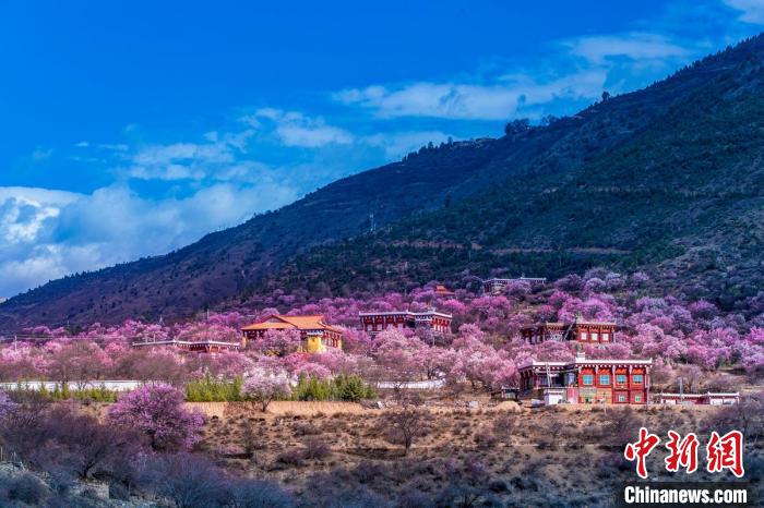 美麗的鄉(xiāng)村畫卷?！『涡秀?攝