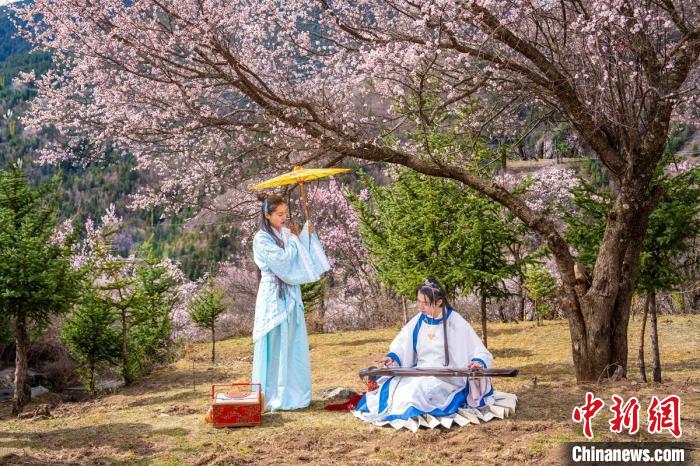 道孚杏花樹下的游客們。　蘇銳 攝