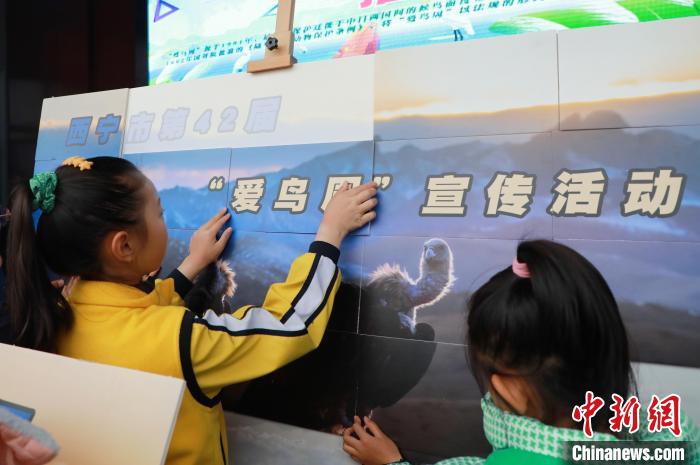 圖為學(xué)生通過(guò)拼圖游戲了解鳥(niǎo)類知識(shí)。　馬銘言 攝