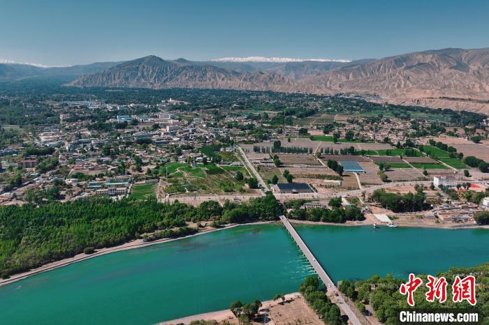 航拍青海貴德黃河岸畔綠意濃濃。　趙凜松 攝