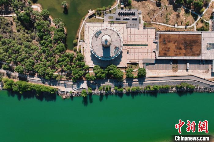 航拍青海貴德黃河岸畔綠意濃濃?！≮w凜松 攝