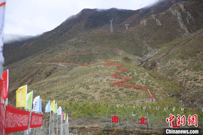 圖為拉薩南北山綠化工程拉薩曲水縣才納村5號片區(qū)?！∝暣_ 攝