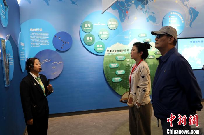 圖為臺商在祁連山國家公園生態(tài)科普館內(nèi)聆聽講解?！⊙Φ?攝