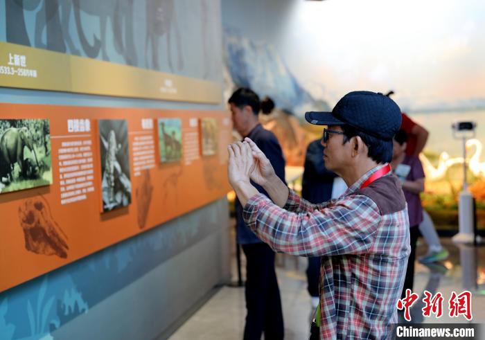 圖為臺商在祁連山國家公園生態(tài)科普館觀看墻面藝術(shù)圖文?！⊙Φ?攝