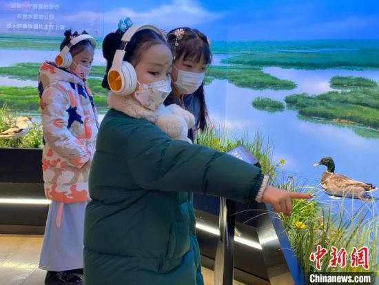 圖為學(xué)生在西寧市第一中學(xué)濕地科普宣教館內(nèi)參觀?！±罱瓕?攝