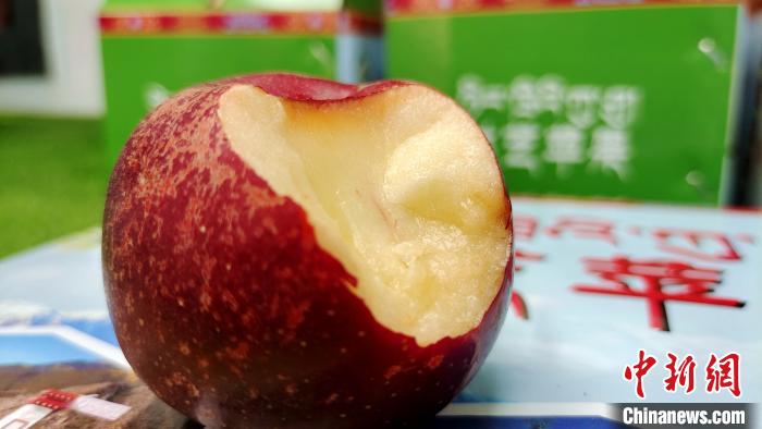 圖為通麥村特色甜心蘋果?！∝暽＠?攝