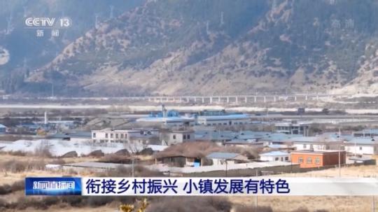 種蘑菇、養(yǎng)駱駝...。。特色產(chǎn)業(yè)助力鄉(xiāng)村振興走新路